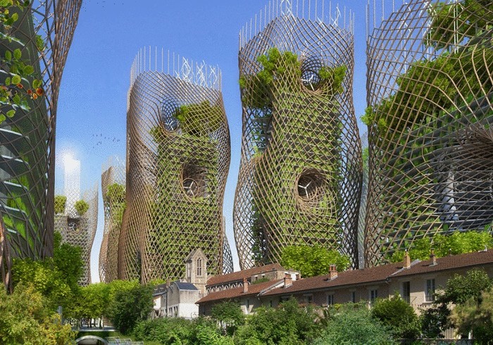 Bamboo nest towers.